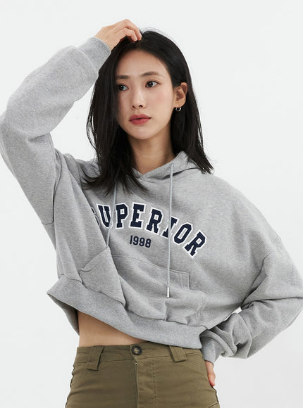 varsity-cropped-hooded-sweatshirt-os326 / Gray