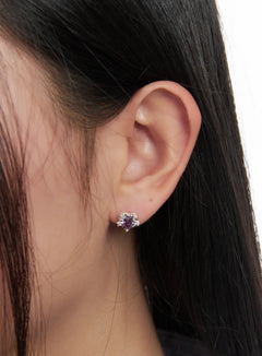 elegant-crystal-earrings-cd530 / Silver