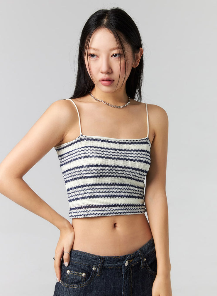 stripe-cropped-knit-top-cl320