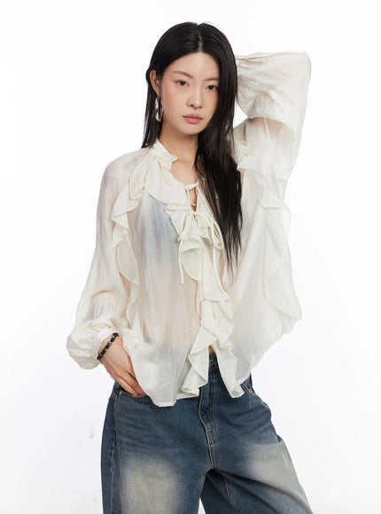 sheer-ruffle-long-sleeve-blouse-co508