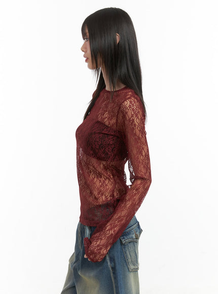 lace-sheer-long-sleeve-top-co410