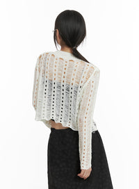 hollow-out-see-through-cropped-sweater-ca412