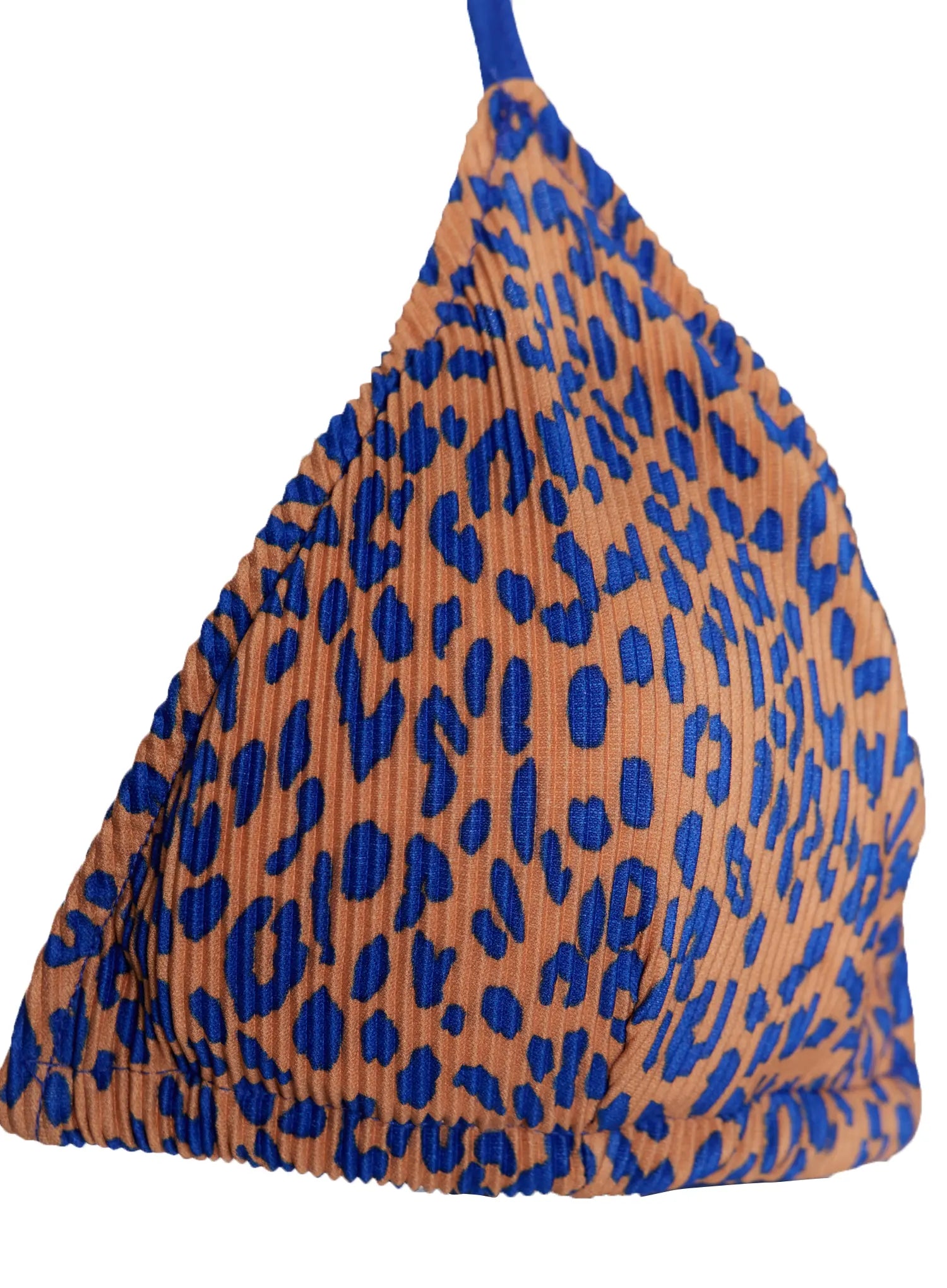 leopard-print-bikini-set-iy514