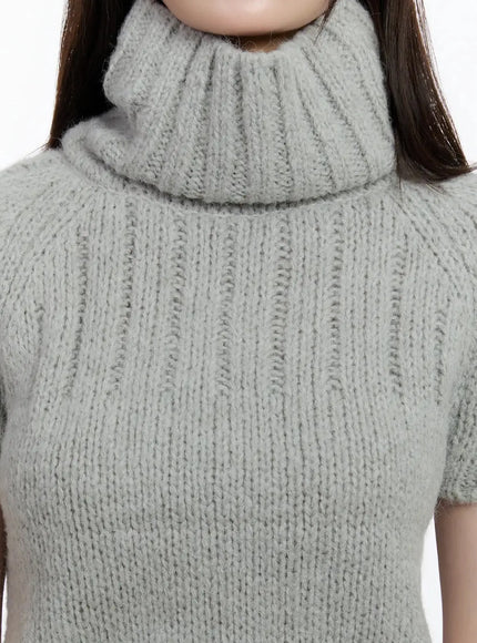 chic-turtleneck-short-sleeve-sweater-id526