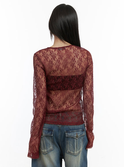 lace-sheer-long-sleeve-top-co410