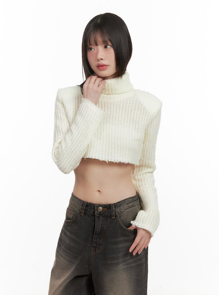 turtle-neck-cropped-sweater-cd426