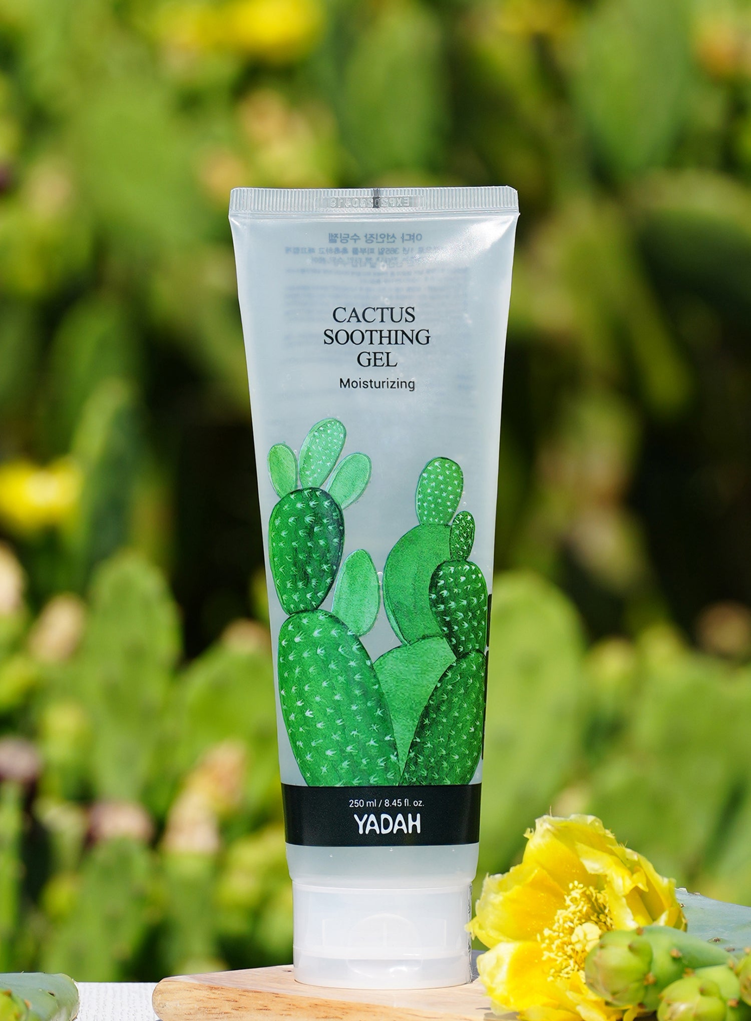 prickly pear cactus gel YADAH Cactus Soothing Gel (250g)
