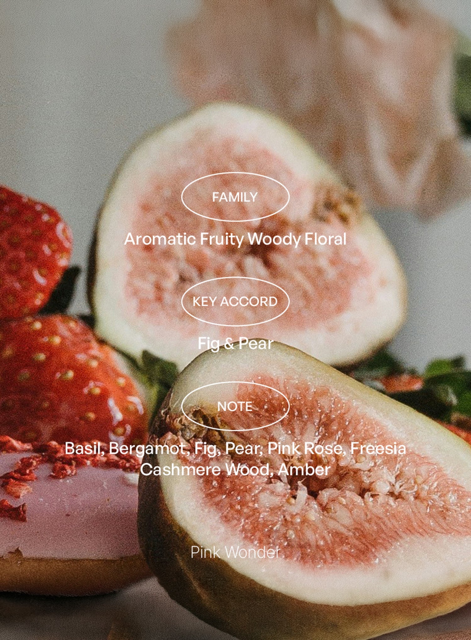 Pink Wonder ; Jeonju EDT (10ml)