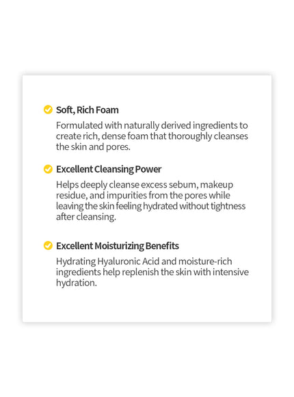 Creamy & Pure Cleansing Foam (120ml)