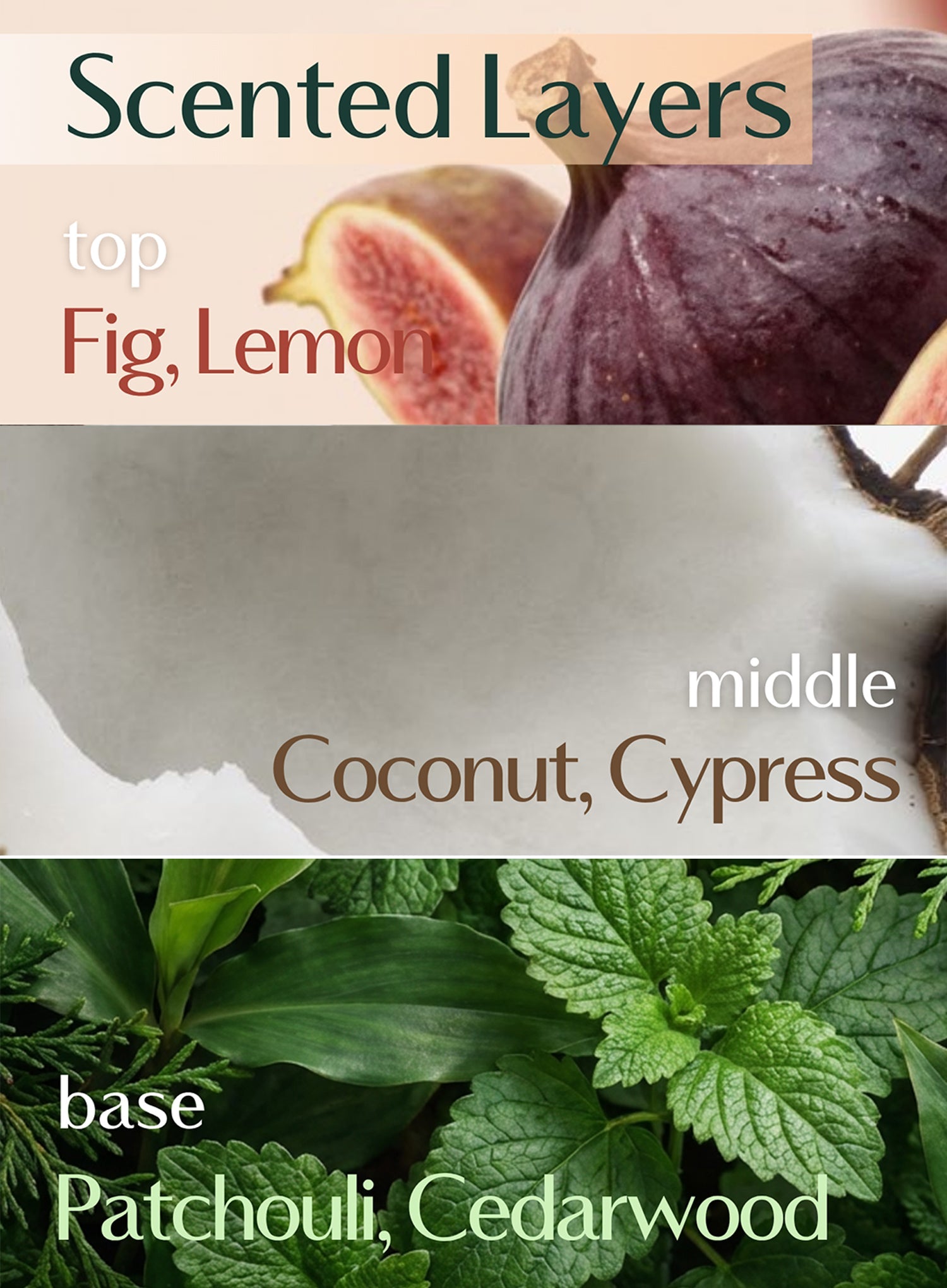 Nearby Scented Balm Dive In Fig (3g)