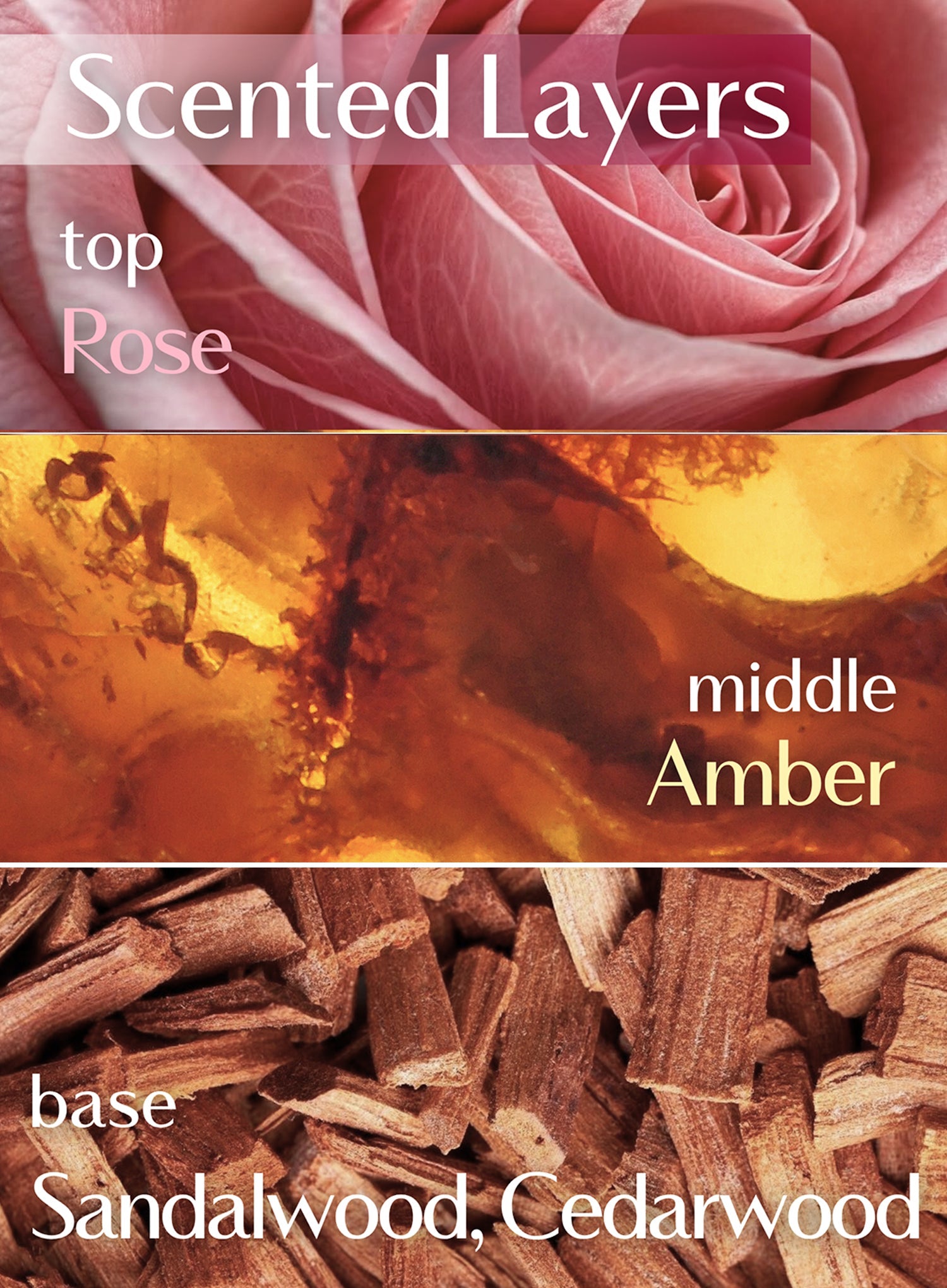 Nearby Scented Balm Still A Rose (3g)