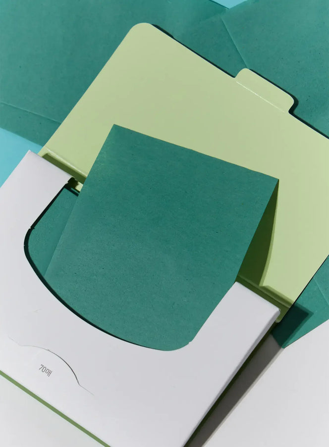 Artemisia Oil Control Paper (70ea)