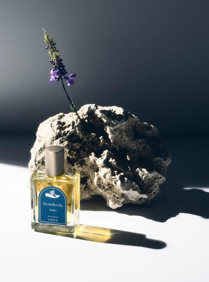 Silver Bay 182 ; Mokpo EDT (50ml)