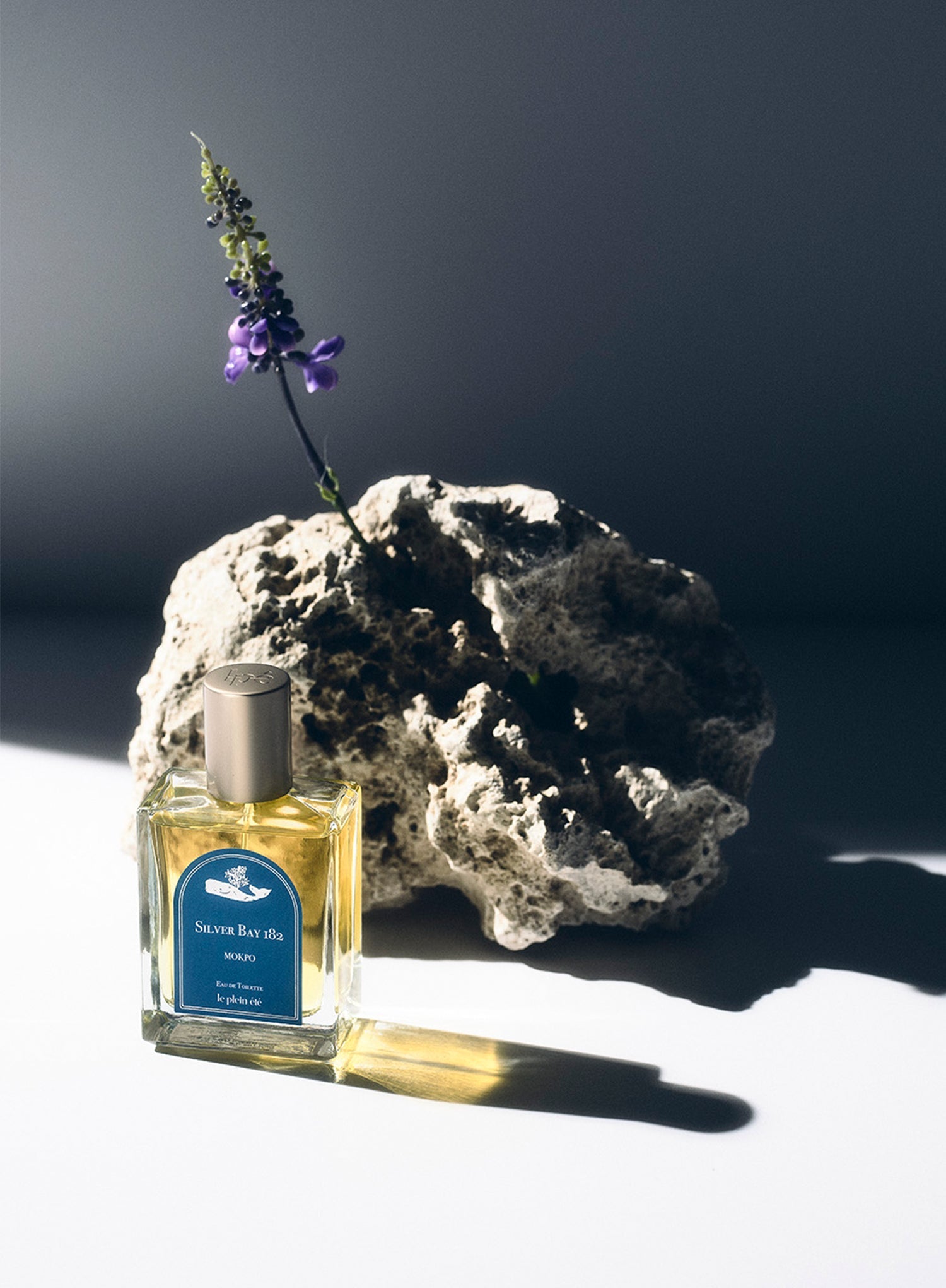Silver Bay 182 ; Mokpo EDT (50ml)