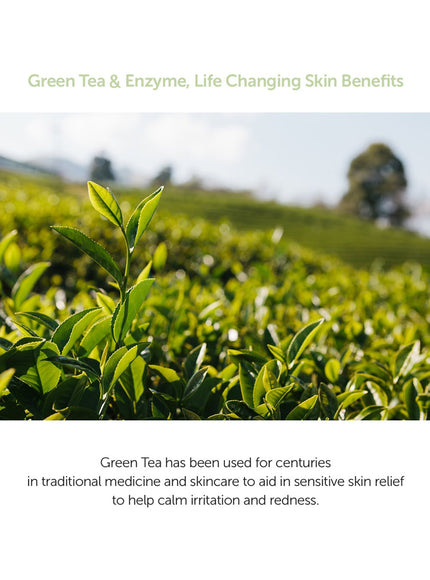 Green Tea & Enzyme Powder Wash Trio Set (110g*3ea)