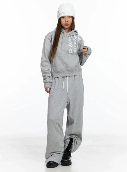 graphic-print-fleece-cropped-hoodie-in528 / Gray