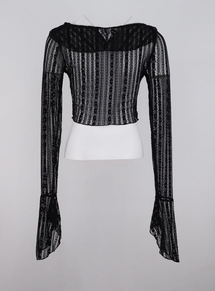 lace-mesh-crop-blouse-ig311