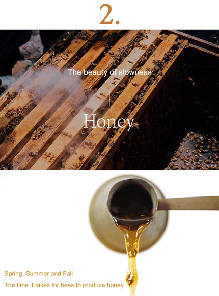 Honey Glow Cream Duo Set (50g*2ea)