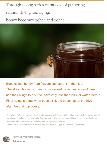 Honey Glow Cream Trio Set (50g*3ea)