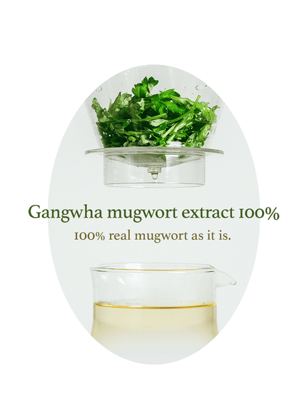 mugwort-essence-160ml