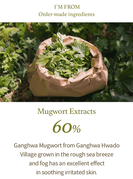 Mugwort Gel Cleanser Duo Set (150ml*2ea)