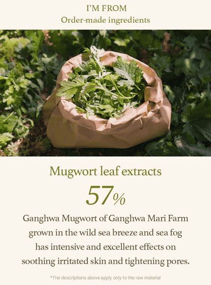 mugwort-serum-30ml