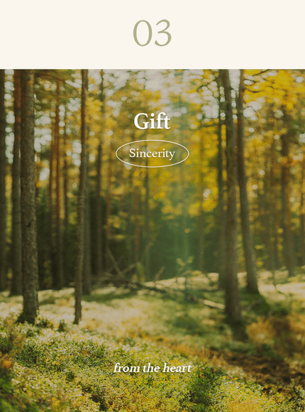 mugwort-sheet-mask-23ml-5ea