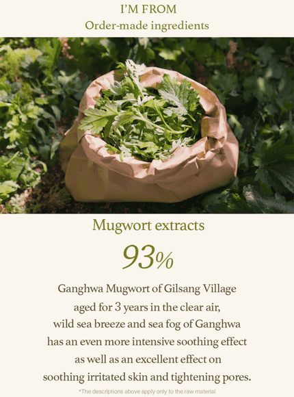 mugwort-sheet-mask-23ml-5ea