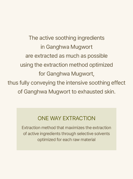 mugwort-sheet-mask-23ml-5ea