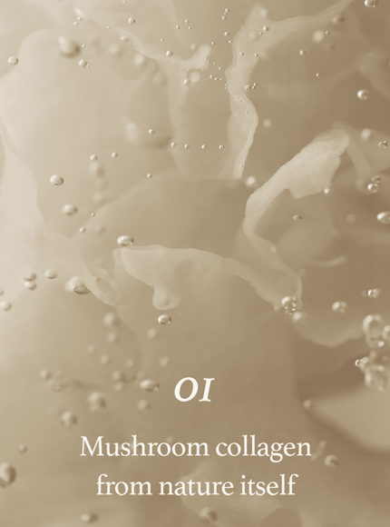 Mushroom Collagen Ampoule Trio Set (30ml*3ea)