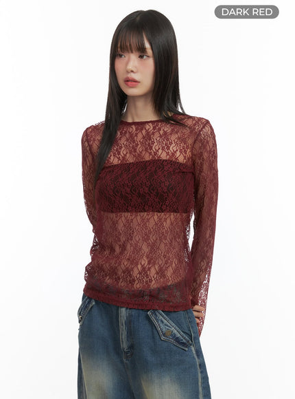 lace-sheer-long-sleeve-top-co410