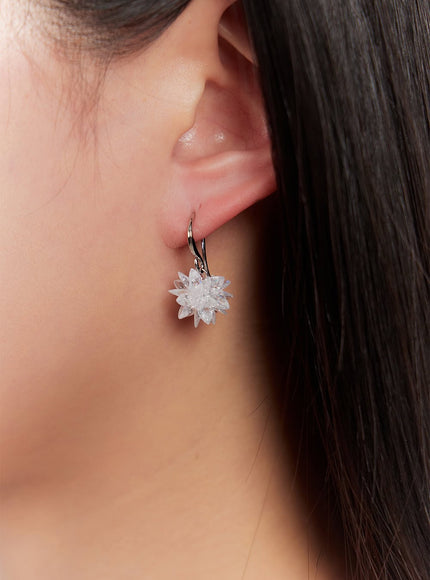 vastin-earrings-ia524 / Silver