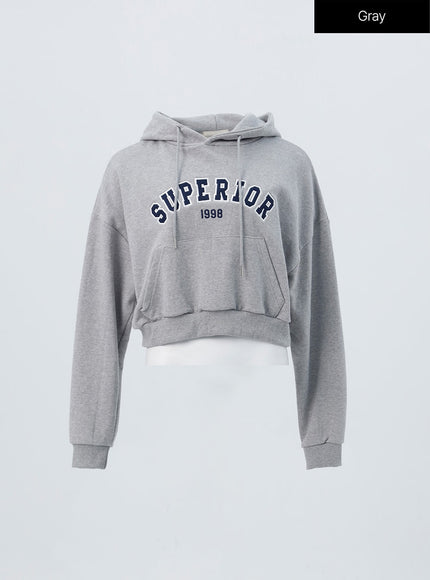 varsity-cropped-hooded-sweatshirt-os326