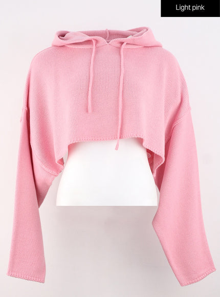 hooded-crop-knit-sweater-os315