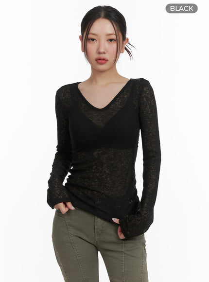 sheer-v-neck-long-sleeve-ca416 / Black