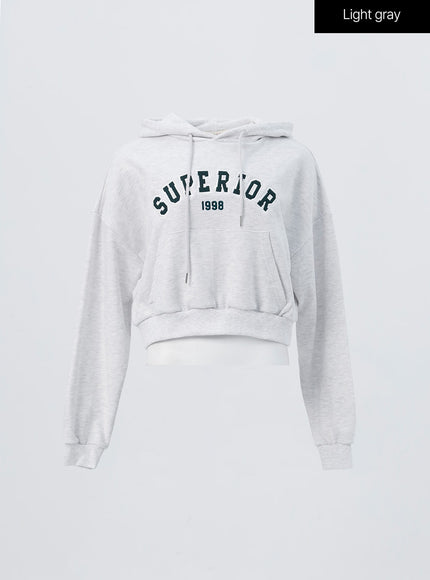 varsity-cropped-hooded-sweatshirt-os326 / Light gray