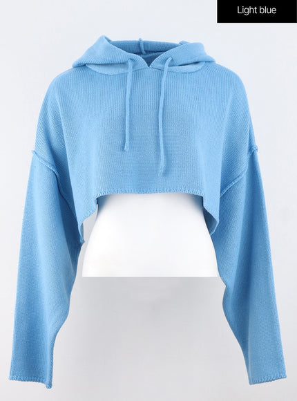 hooded-crop-knit-sweater-os315