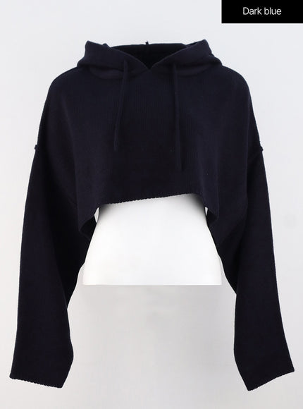 hooded-crop-knit-sweater-os315