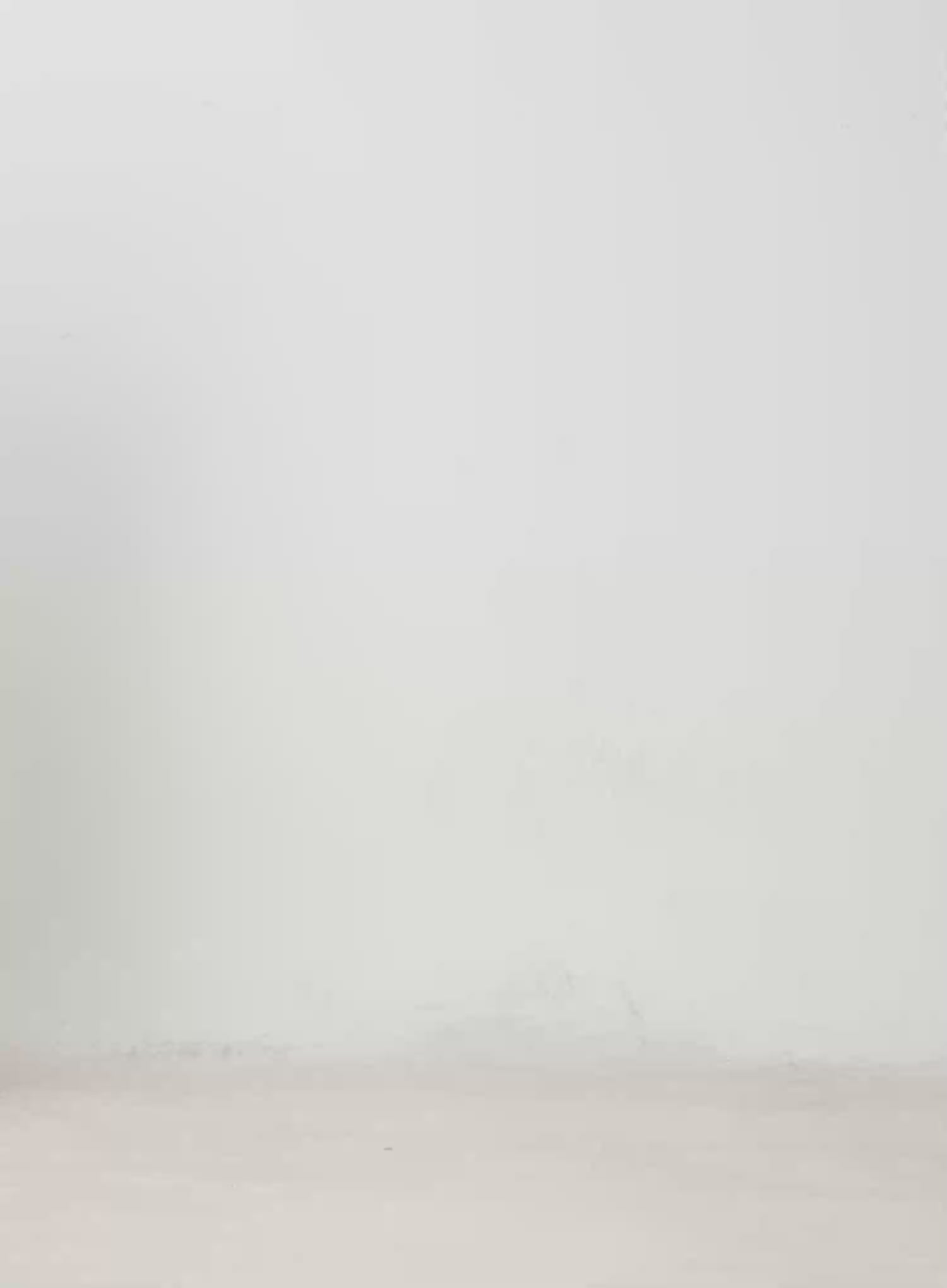 Layered Ruffle Long Skirt IM519