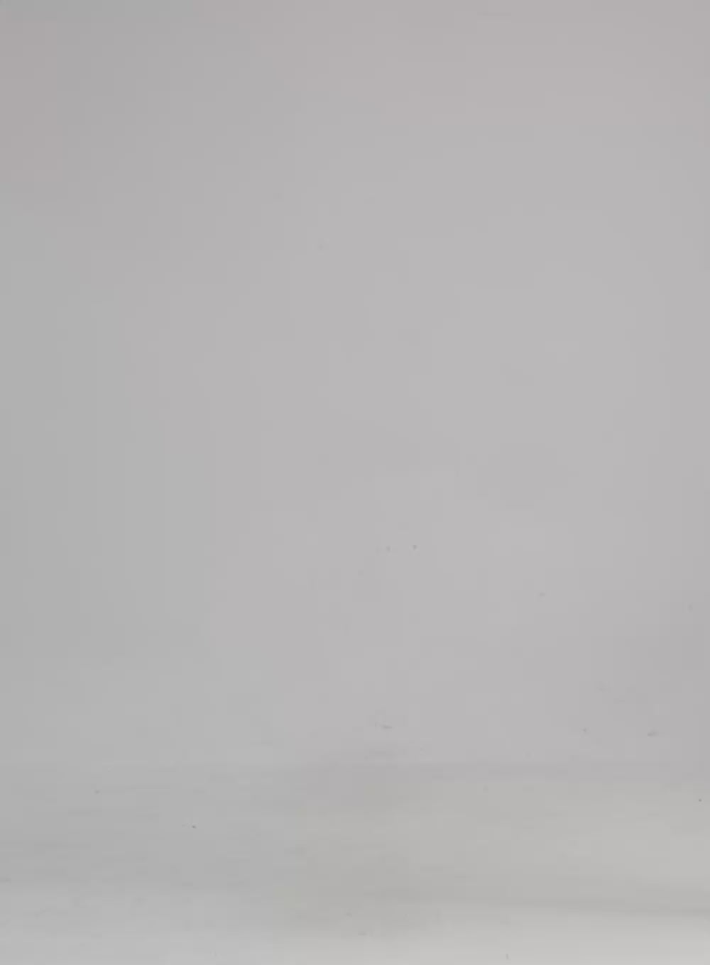 Oversized Two-Way Zip-Up Hoodie Sweater CN303