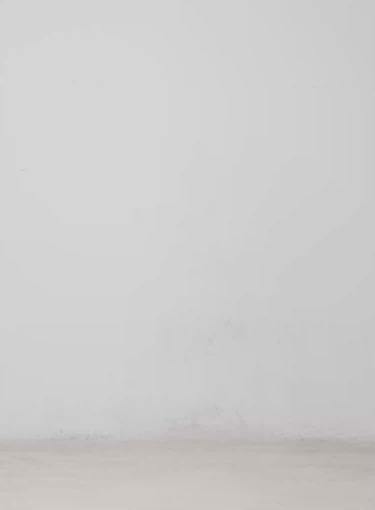 Kallie High-Waist Bootcut Flared Jeans CM513