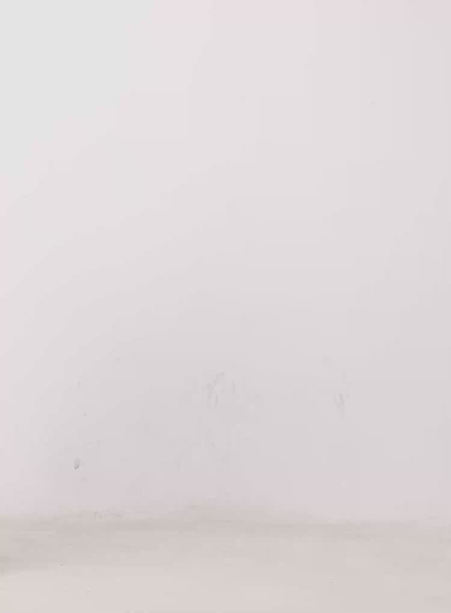 Plaid Chiffon Scarf CO524