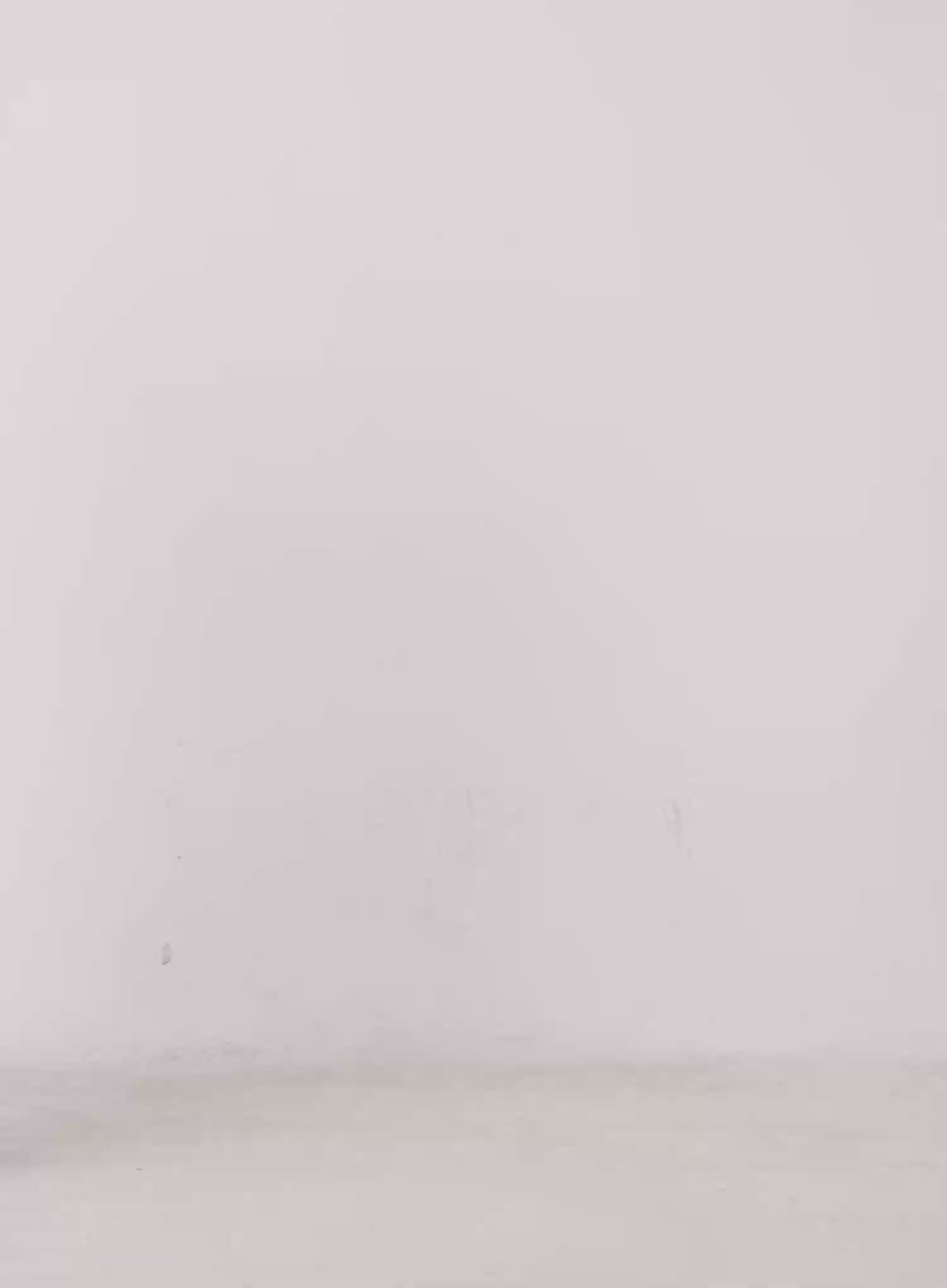 Ribbed Henley Knit Tee IO530