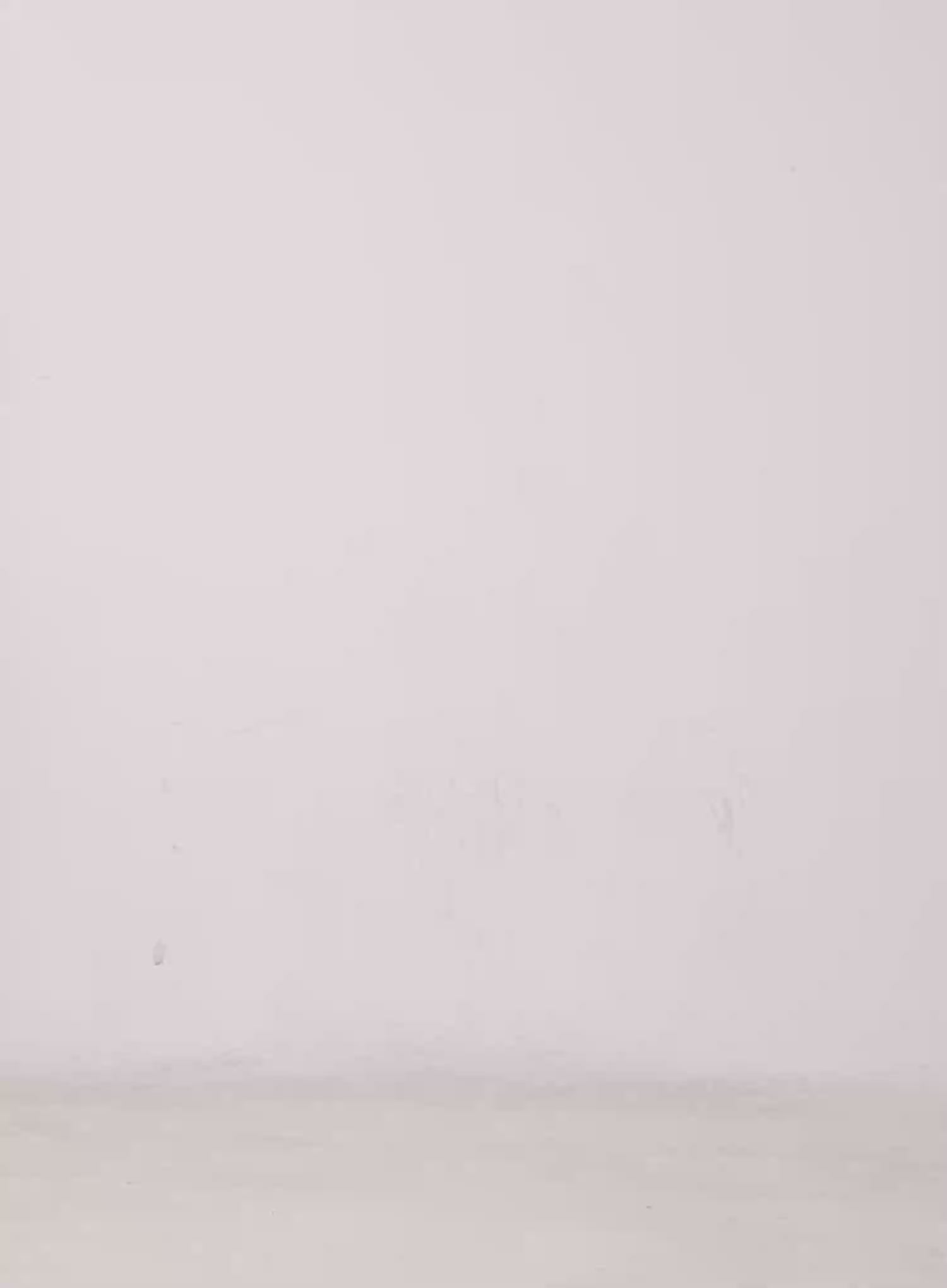 Fluffy Boatneck Sweater CG529