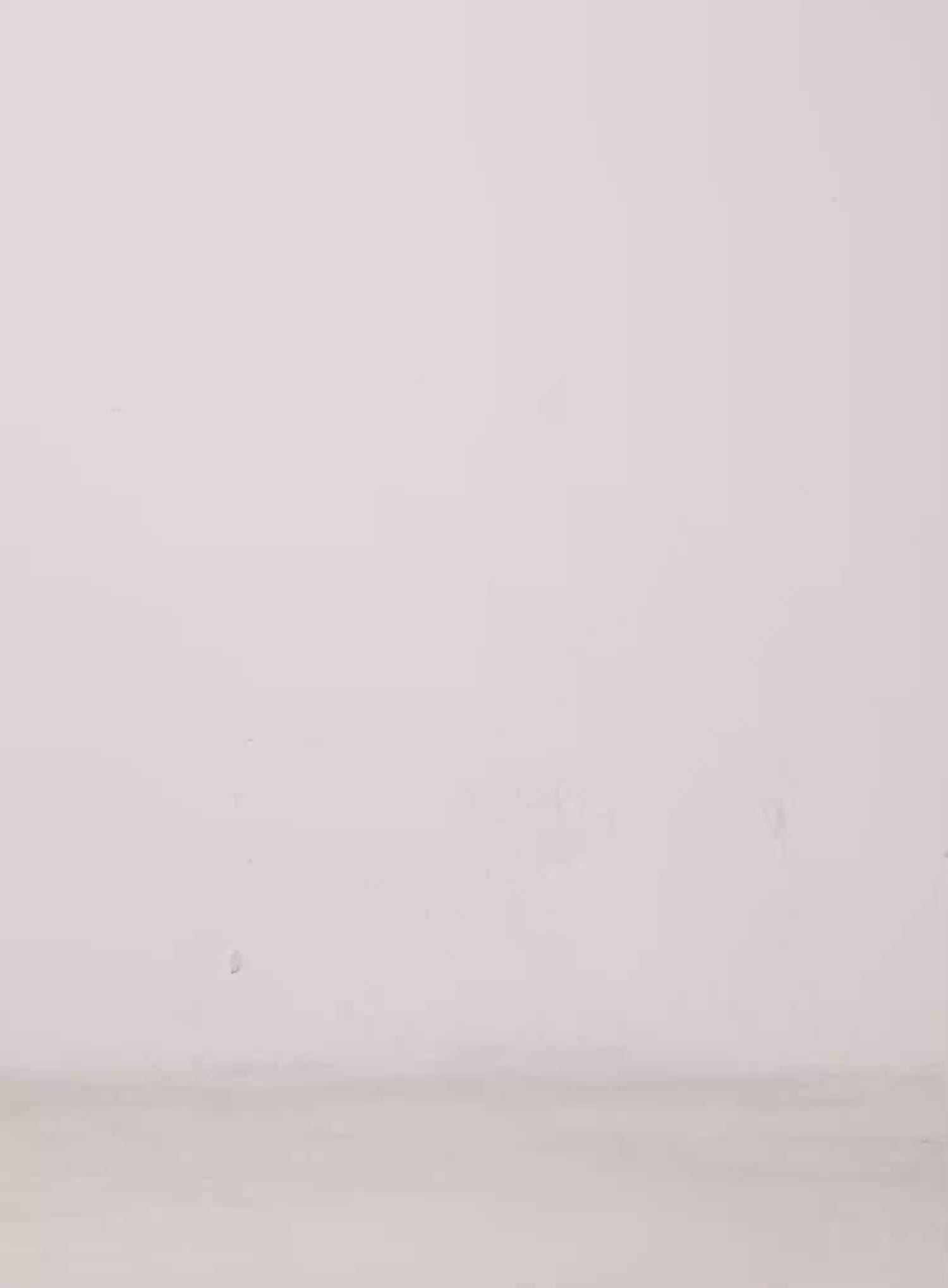 Zipper Detail Rib Knit Long Sleeve CS517