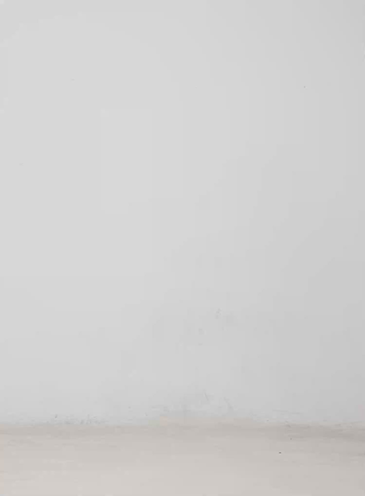 Soft Ruffle Edge Cardigan CM513