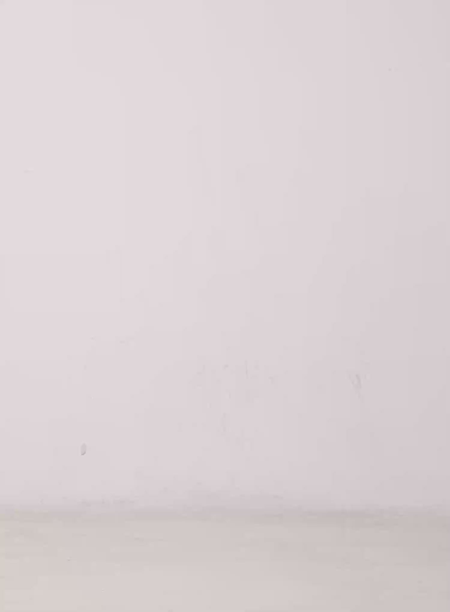 V-Neck Number 89 Long Sleeve Tee CG529