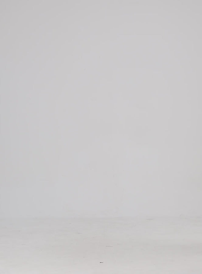 Mid-Rise Ripped Denim Shorts CY315