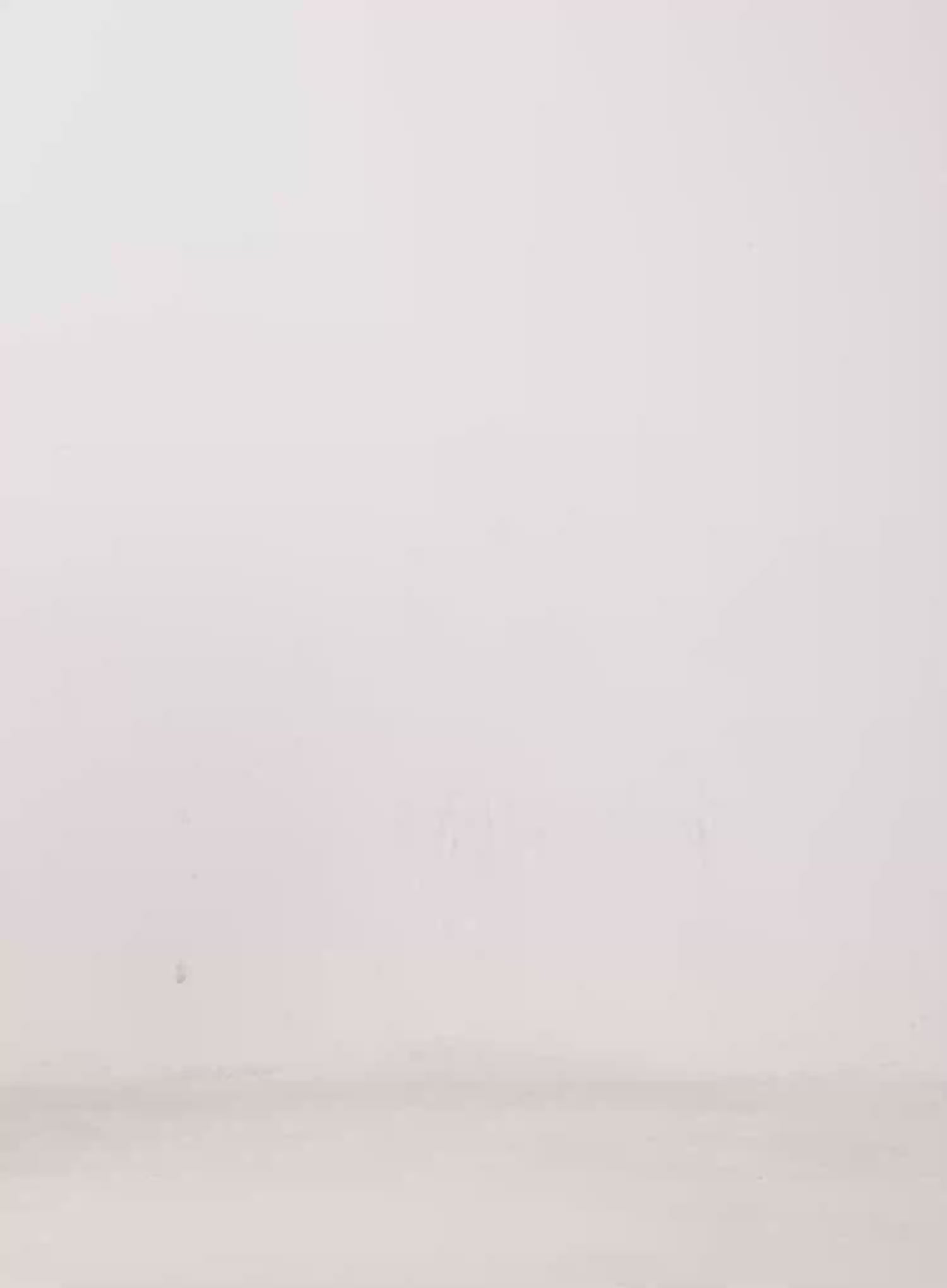 Pleated Mini Skirt IJ509