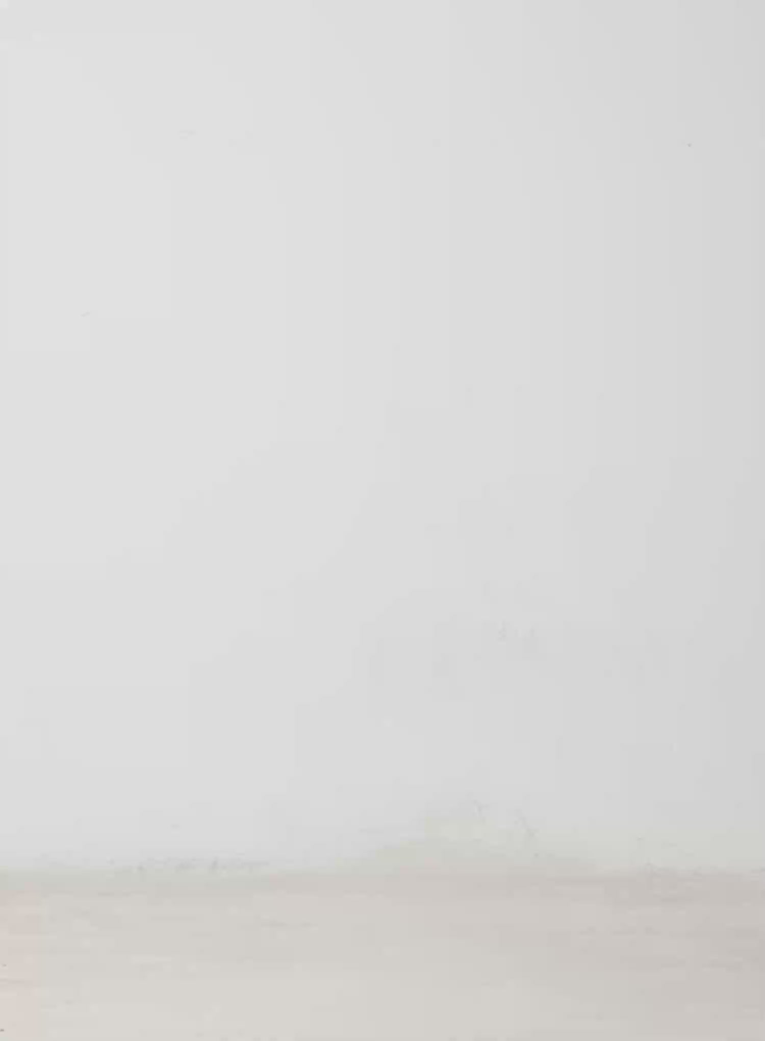 Yunho Oversized Wing Print Jeans IF526